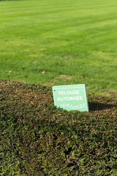 标牌在法国草坪上，公园里是允许的图片下载