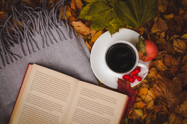 一个舒适的早晨咖啡与一本书和一条毯子在秋天的树叶图片下载