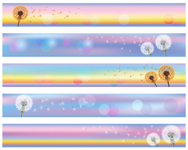 一套水平的花横幅与花蒲公英图片下载