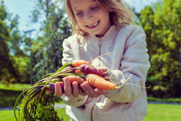 孩子和胡萝卜图片下载