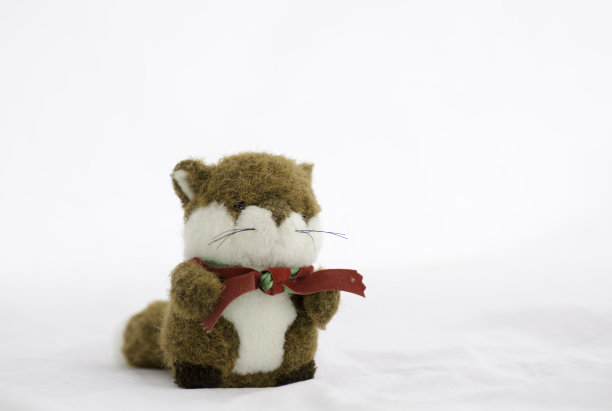 白色背景上的松鼠娃娃图片下载