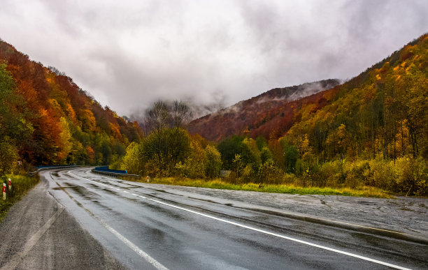 秋天，在森林中潮湿的路上转弯图片下载