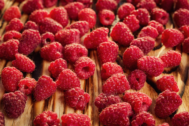 种植树莓，树莓背景特写照片，高分辨率产品，美味一级有机水果，树莓作为背景图片下载