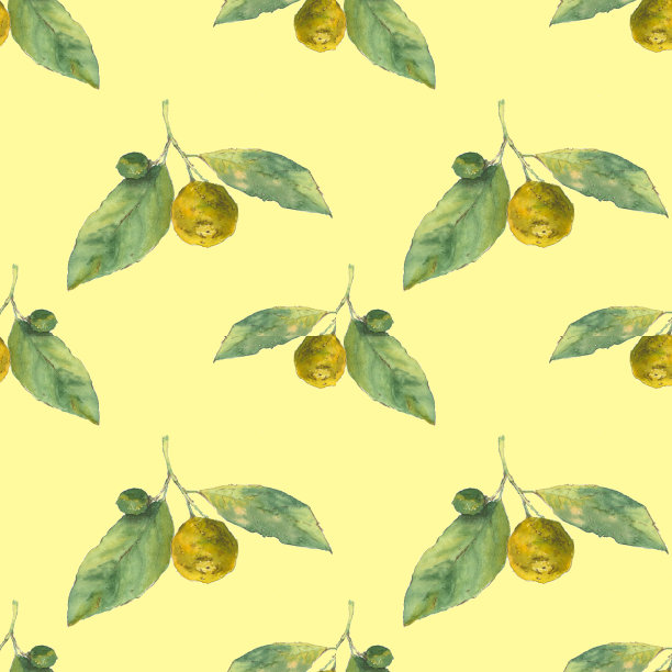 柑橘。桔黄色背景。无缝的水彩模式图片下载