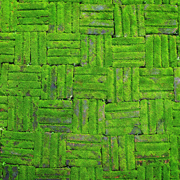 砖墙纹理古老，石墙上覆盖着青苔图片下载