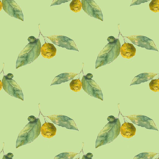 柑橘。绿色背景的柑橘。无缝的水彩模式图片下载