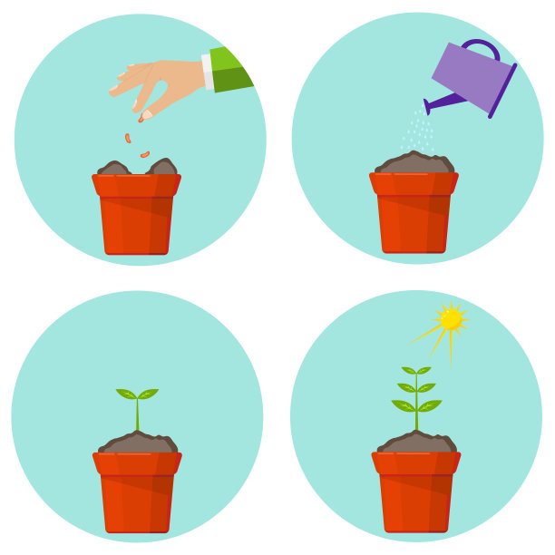 植物的生长阶段图片下载