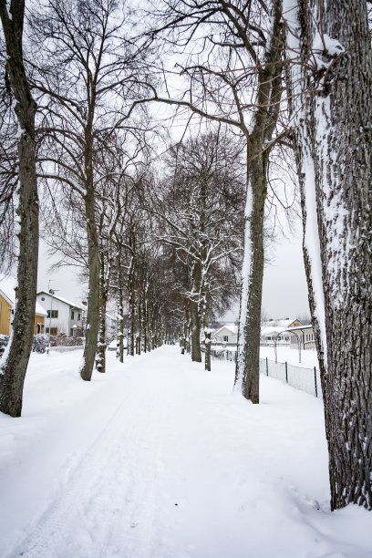 冬天的大街图片下载