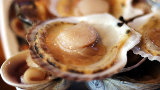 烤扇贝素材图片