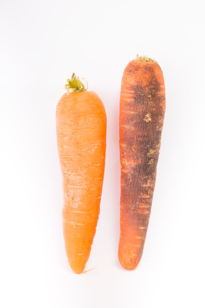 一个腐烂的胡萝卜图片下载