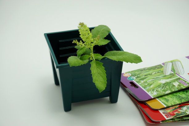 种子包装和塑料花盆，商业和自然的概念图片下载