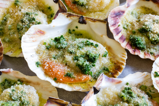 生烤扇贝素材图片