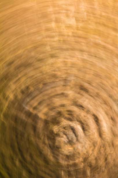 摘要树皮的自然背景图片下载