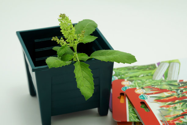 白色背景的塑料花盆和种子包装，商业和自然的概念图片下载