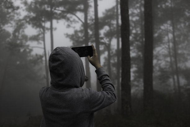 妇女拍照的木材森林的观点图片下载