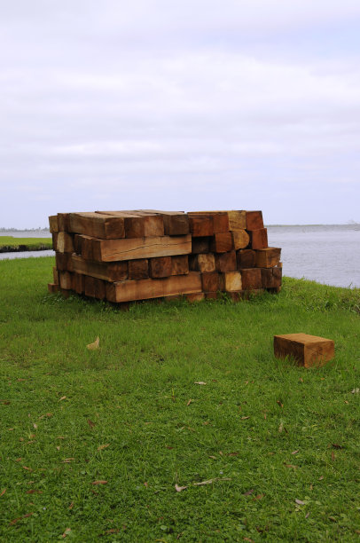 木头堆在绿草上图片下载
