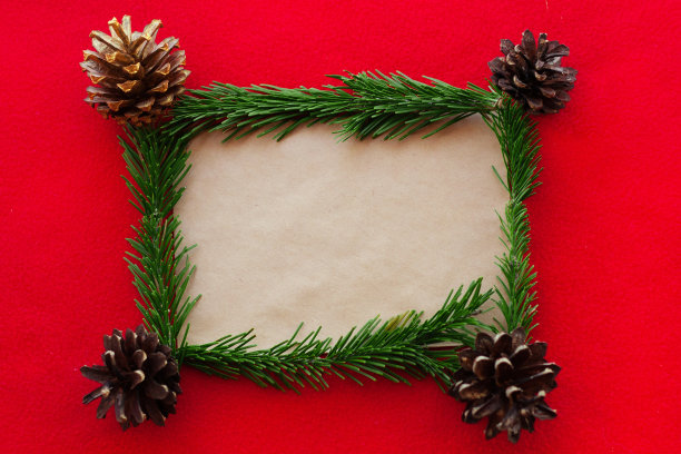 圣诞背景与冷杉树框架图片下载