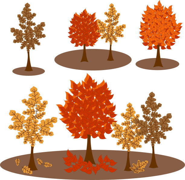 秋天的树木修剪艺术。图片下载