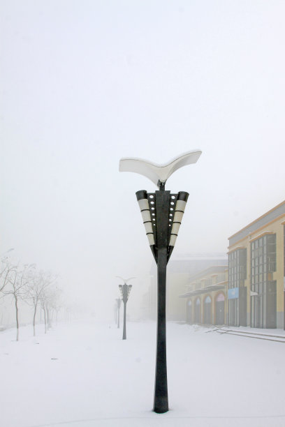 路灯在霜雪中，特写照片图片下载