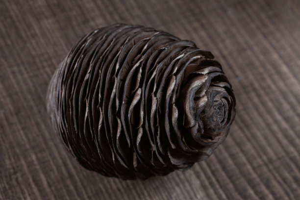 松果锯木厂图片下载