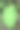 新鲜香芋叶图片下载