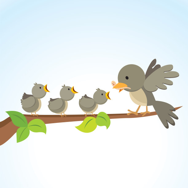 鸟妈妈在喂鸟宝宝图片下载