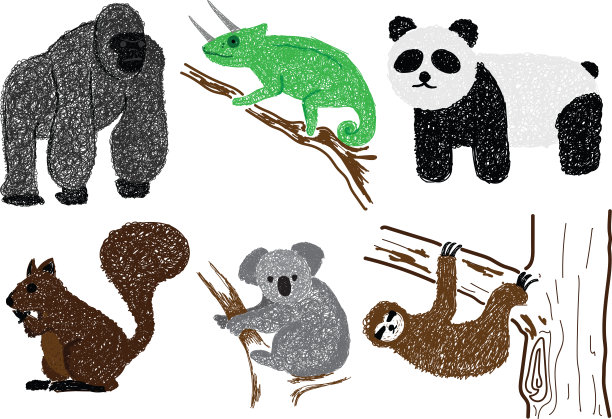 动物野生动物图片下载