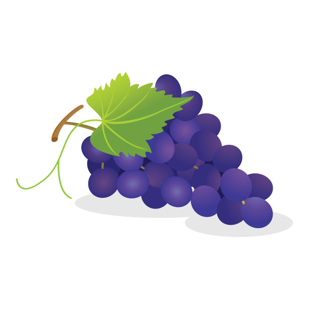 葡萄图片下载