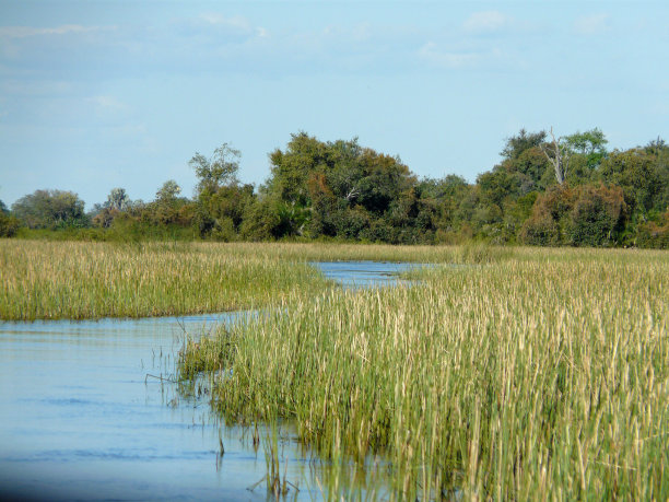 河马的高速公路图片下载