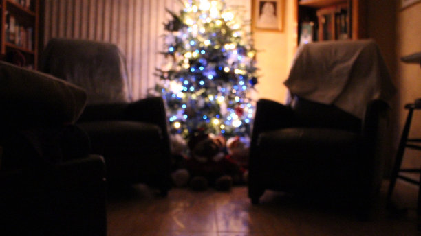 温暖圣诞在FL图片下载