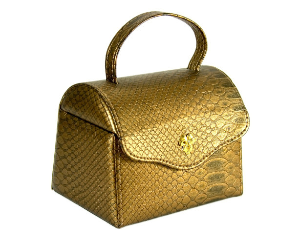 装饰珠宝容器(包)的皮革隔离在白色背景。图片下载