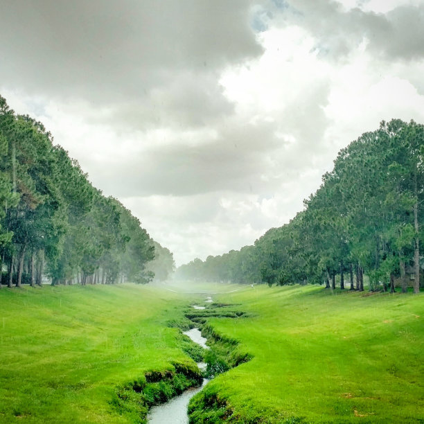 雨中潮湿的绿道图片下载