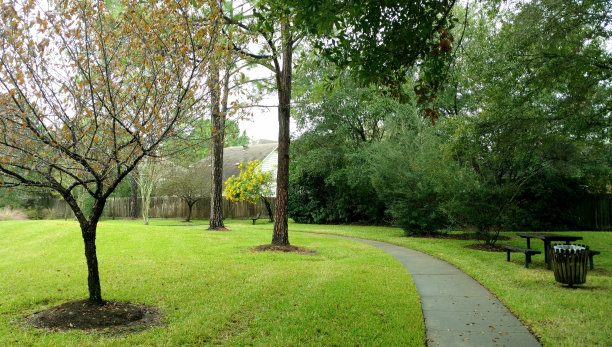 秋天的社区公园图片下载