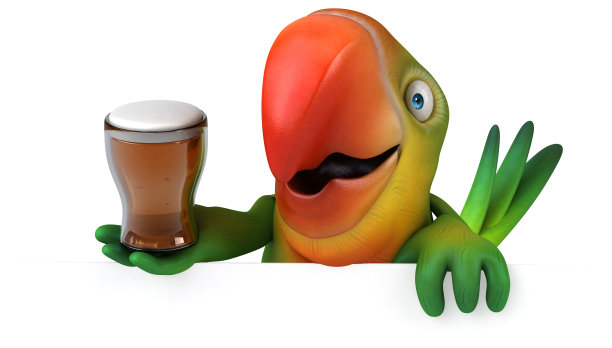 有趣的鹦鹉图片下载