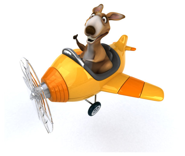 有趣的袋鼠图片下载