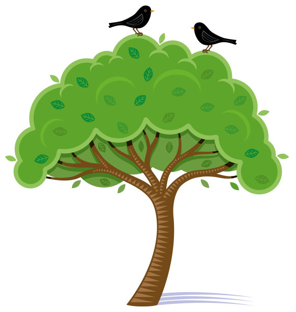 鸟在一个灌木矢量插图图片下载