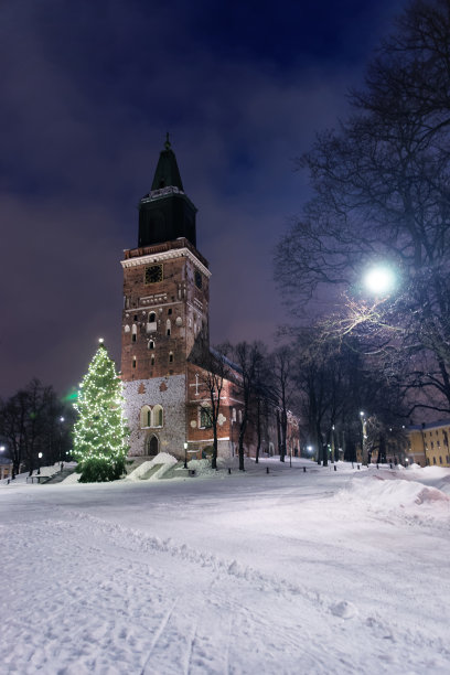 图尔库的大教堂和圣诞树图片下载