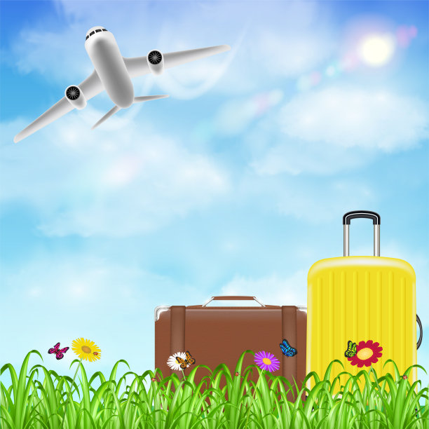 旅行袋上的草花和飞机在天空图片下载