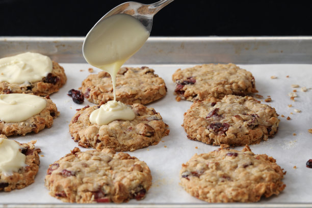 加霜燕麦蔓越莓饼干图片下载