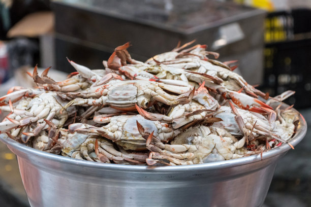 水桶里的螃蟹素材图片