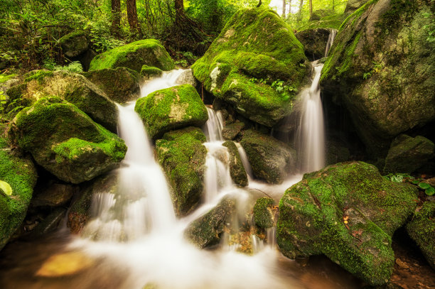 郁郁葱葱长满青苔的小溪素材图片