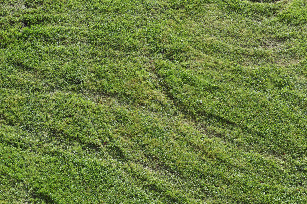 轮胎的痕迹图片下载