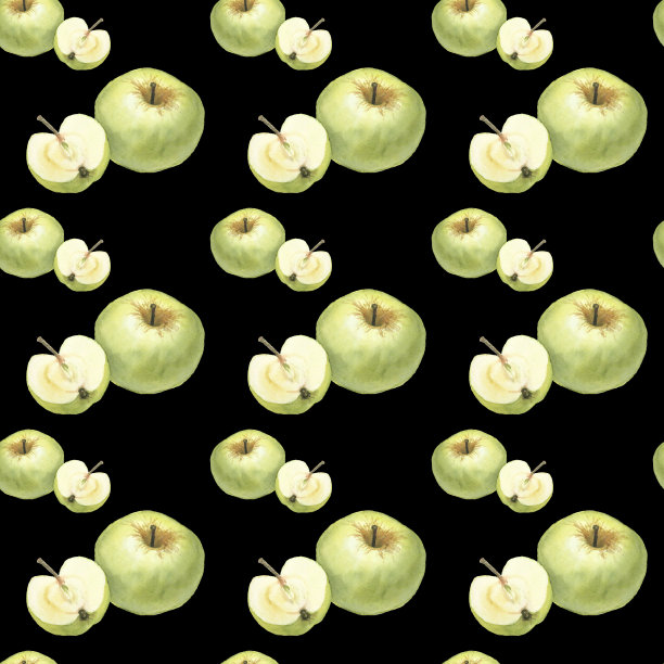 水彩插画：苹果植物学插画图片下载