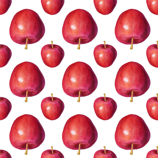 水彩插画：苹果植物学插画图片下载