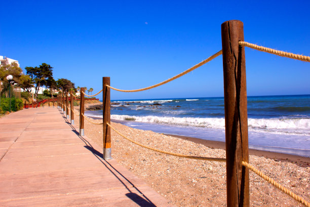 海滩。图片下载