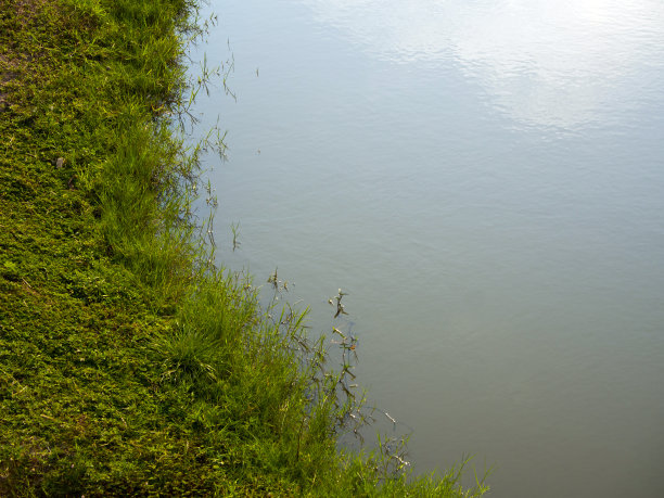 草和运河图片下载