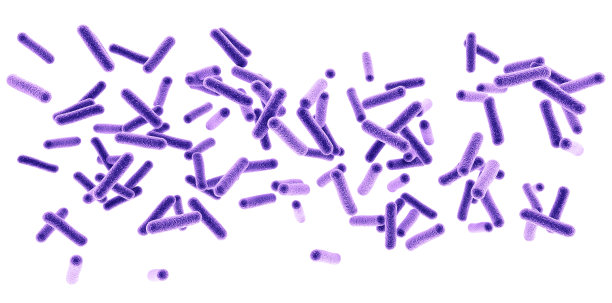 细菌图片素材ID：301053156