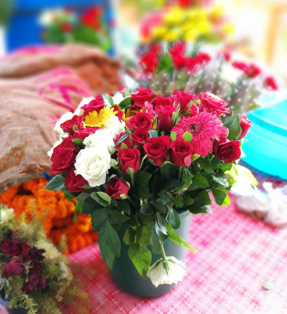 美丽的花朵图片下载