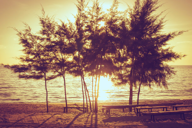 美丽的夏季图片，松树站在沙滩上，大海和夕阳的背景，在泰国Chanthaburi省Chao Lao海滩。(软焦点)图片下载