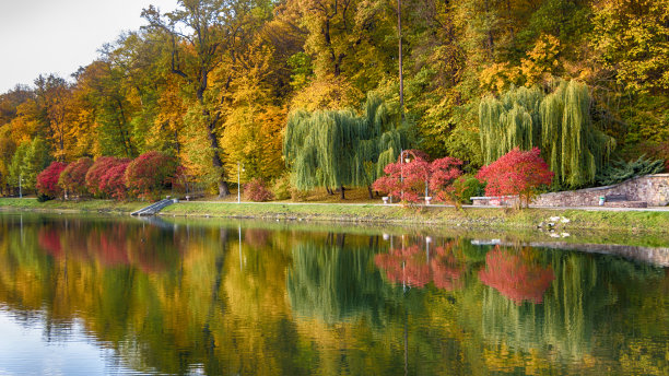 美丽的秋景与雾湖图片下载
